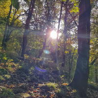 In the Zone with Henri Kohn pres. Luv Dance Part 1 (2007)