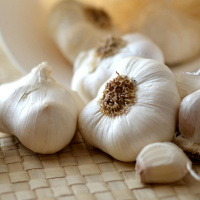 So You Think You’re an Adult: My girlfriend has bad breath!