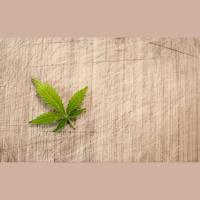 So, You Think Youre an Adult: My boyfriend smokes too much weed