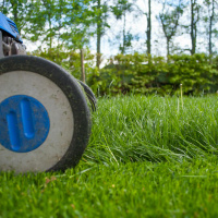 So You Think You’re an Adult: The great grass cutting debate