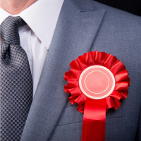 So You Think Youre an Adult: I want to run for election