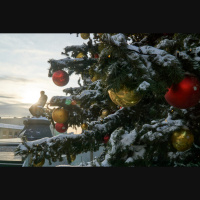 So, You Think Youre an Adult: My housemate wants to put up Xmas decorations already