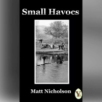 Small Havocs with poet Matt Nicholson