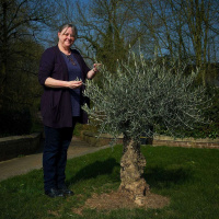 Appetite Maps in March, artist Su Hurrell