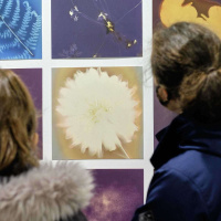 Appetite presents Light Over Winter photographic exhibition