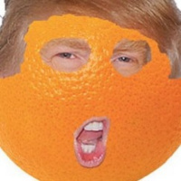Trump Impeachment: Orange Man vs TDS