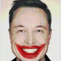 Elon Musk vs Twitter Lunatics