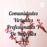 Comunidades Virtuales De Profesionales y De Negocio.