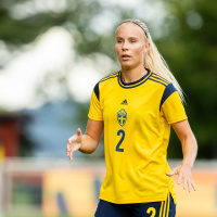 EFD: Vad är det som händer i Djurgården?