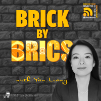 Ep 309 - Brick by BRICS with Yan Liang