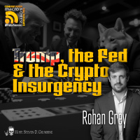 Ep 305 - Trump, the Fed  the Crypto Insurgency with Rohan Grey
