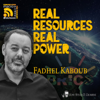 Ep 303 - Real Resources, Real Power with Fadhel Kaboub