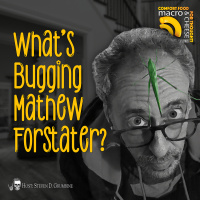 Whats Bugging Mathew Forstater?