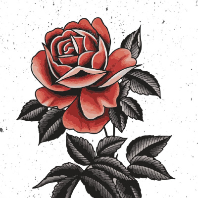 2911 Church // Aj Campus