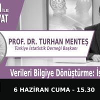 Verileri Bilgiye Dönüştürme: İstatistik | Bölüm537