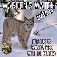 W02 Canada Lynx with Jill Kilborn