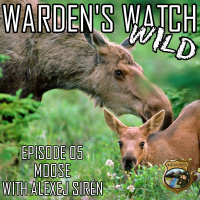 W05 Moose with Alexej Sirén