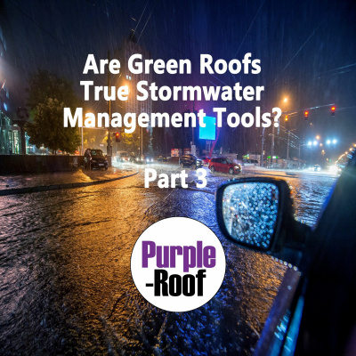 Purple-roof