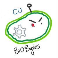 Bio Bytes 28: Systems Approaches to Studying Neural Circuitry with Darcy Kelley 