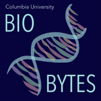 Bio Bytes 34: Decoding the Regulation of Gene Expression with Professor James Manley