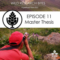 Episode 11 - Master Thesis