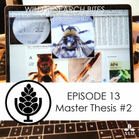 Episode 13 - Master Thesis #2