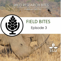 Field bites - e03