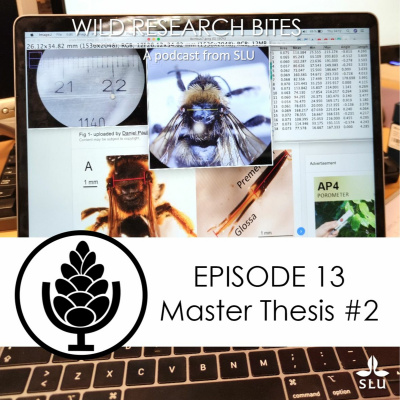 Wild Research Bites - A Podcast From Slu