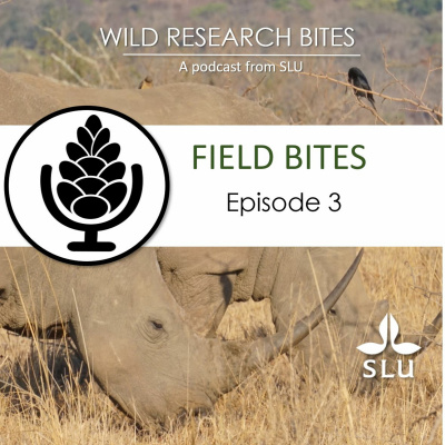 Wild Research Bites - A Podcast From Slu