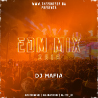 EDM Mix 2019 By Dj Mafia