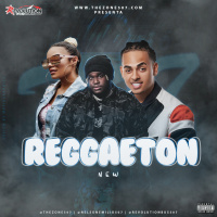 ReggaetonNew Mix By Dj Nelson