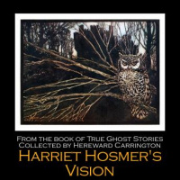 Harriet Hosmers Vision Audiobook
