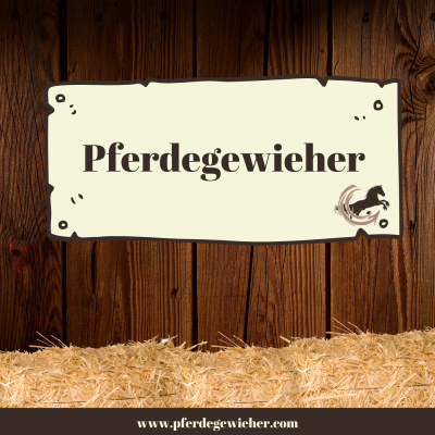 Pferdegewieher - Der Podcast Für Engagierte Pferdefreunde