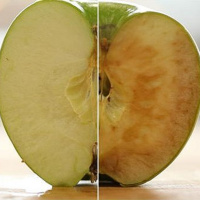 Puntata 06 Imbrunimento alimentare