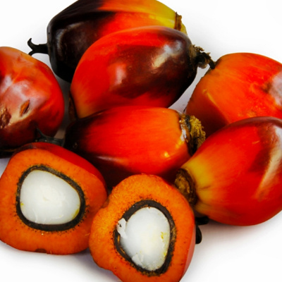 Grassiidrogenati - Radio Statale