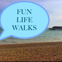 Ep 1 - DEAL - Option Paralysis