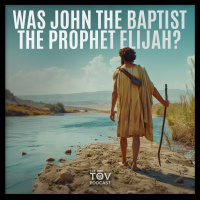 Was John the Baptist the Prophet Elijah?