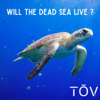 Will the Dead Sea Live?