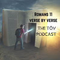 Romans 11: Verse by Verse