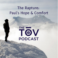 The Rapture: Pauls Hope  Comfort