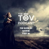 The Book of Nahum: Part III