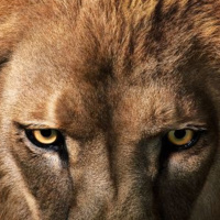 EL SECRETO DE LA VIDA