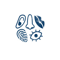 #9 - Habilidades da BNCC