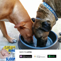 #969 “2 dogs 1 bowl Let me bore you to sleep (Jason Newland) (2nd February 2023)