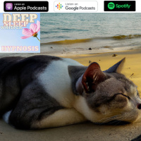 #493 From Head to Toe Deep Sleep Whisper Hypnosis - Jason Newland (7th April 2023)