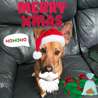 #940 Happy Xmas 2022 Let me bore you to sleep (Jason Newland) (25th December 2022)