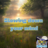 #204 “Slowing down your mind” Relax  Sleep Hypnosis Daily