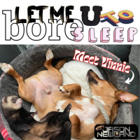 #1012 “Meet Vinnie Andre Newland” Let me bore you to sleep (Jason Newland) (20th June 2023)