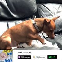 #975 “Vinny ate my sofa Let me bore you to sleep (Jason Newland) (20th February 2023)