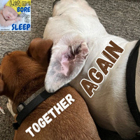 #1044 - The boys are together - Let me bore you to sleep